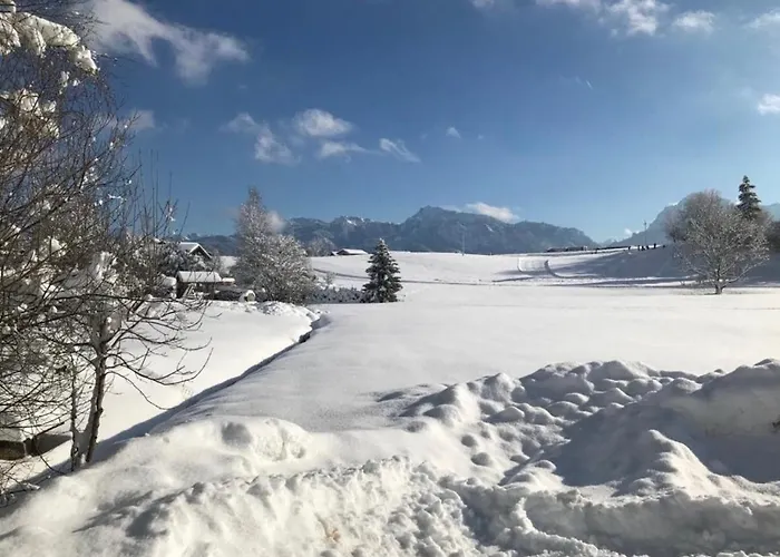 Sissi Apartament